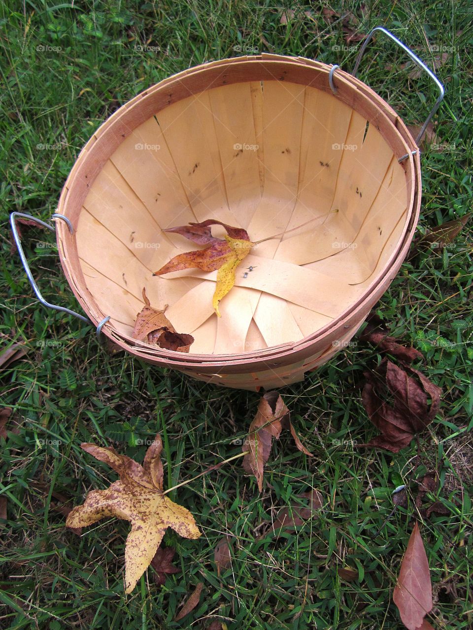 peck basket with leaves