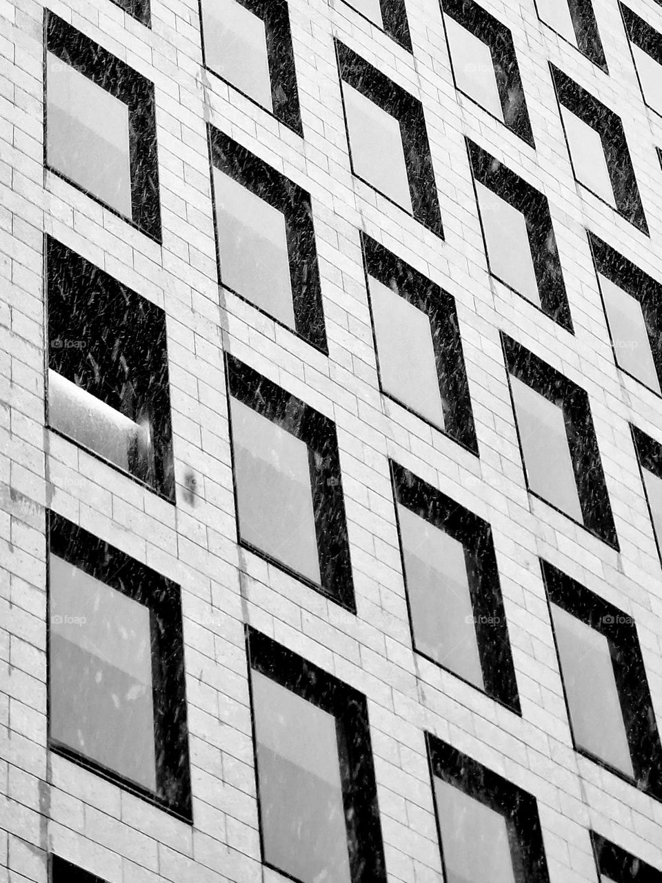 windows in black and white