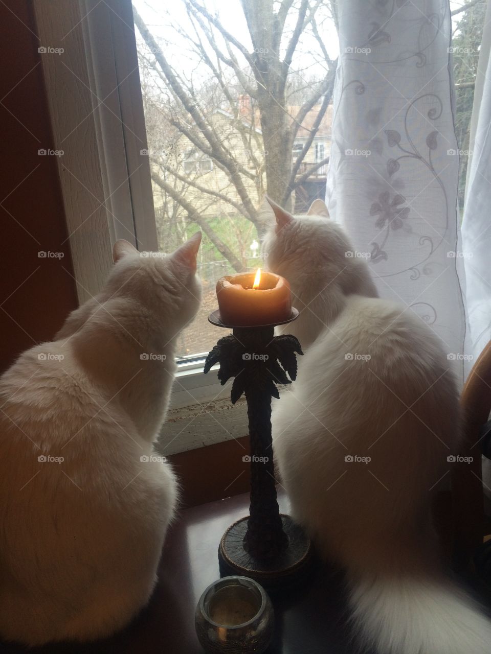 Love is looking at the same direction