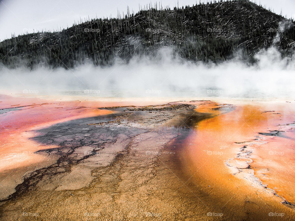 The Grand Prismatic Hot Spring