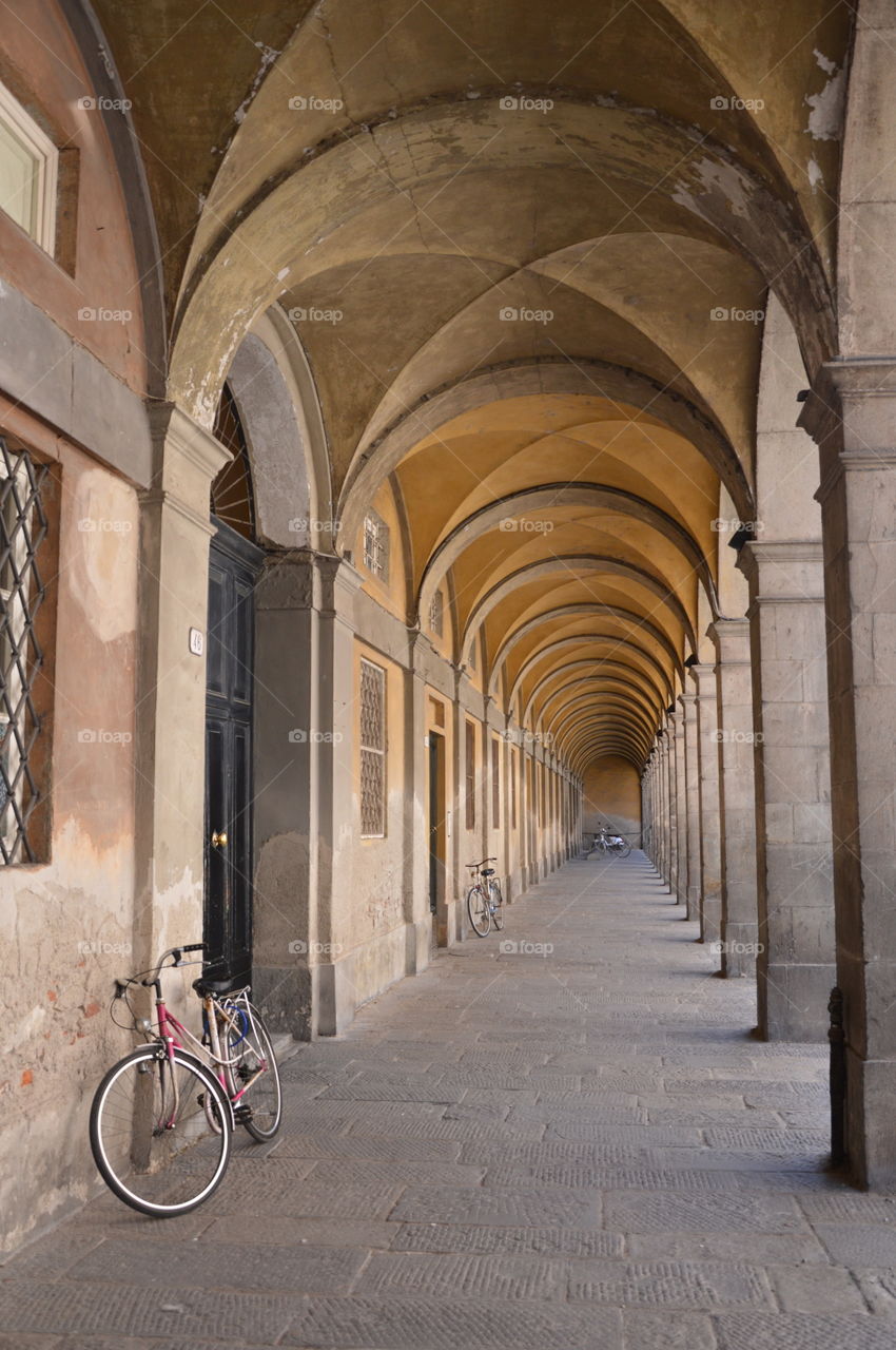 characteristic of Bologna