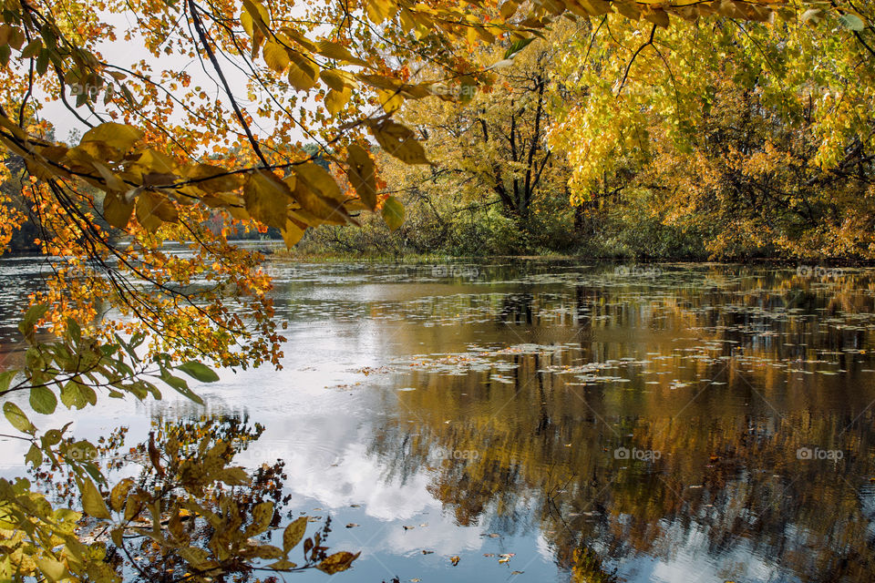 Autumn reflections 