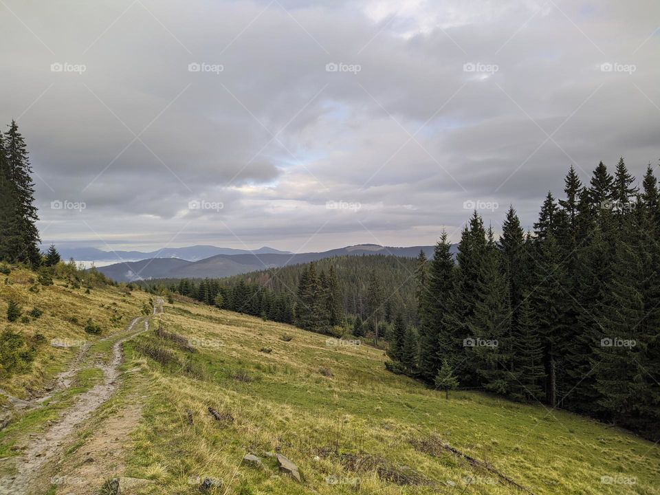 Carpathians (Ukraine).