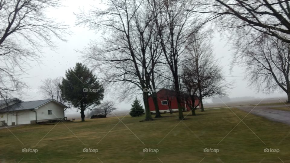Tree, Landscape, No Person, Weather, Grass