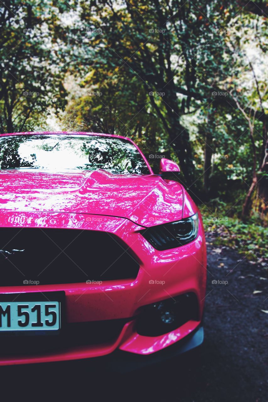 Pink Mustang 
