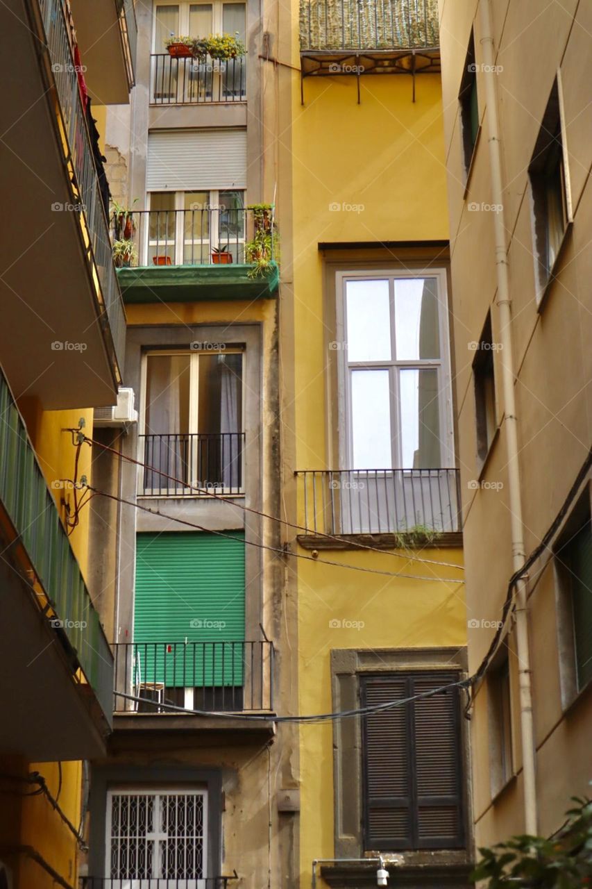 Windows and balconies Napoli