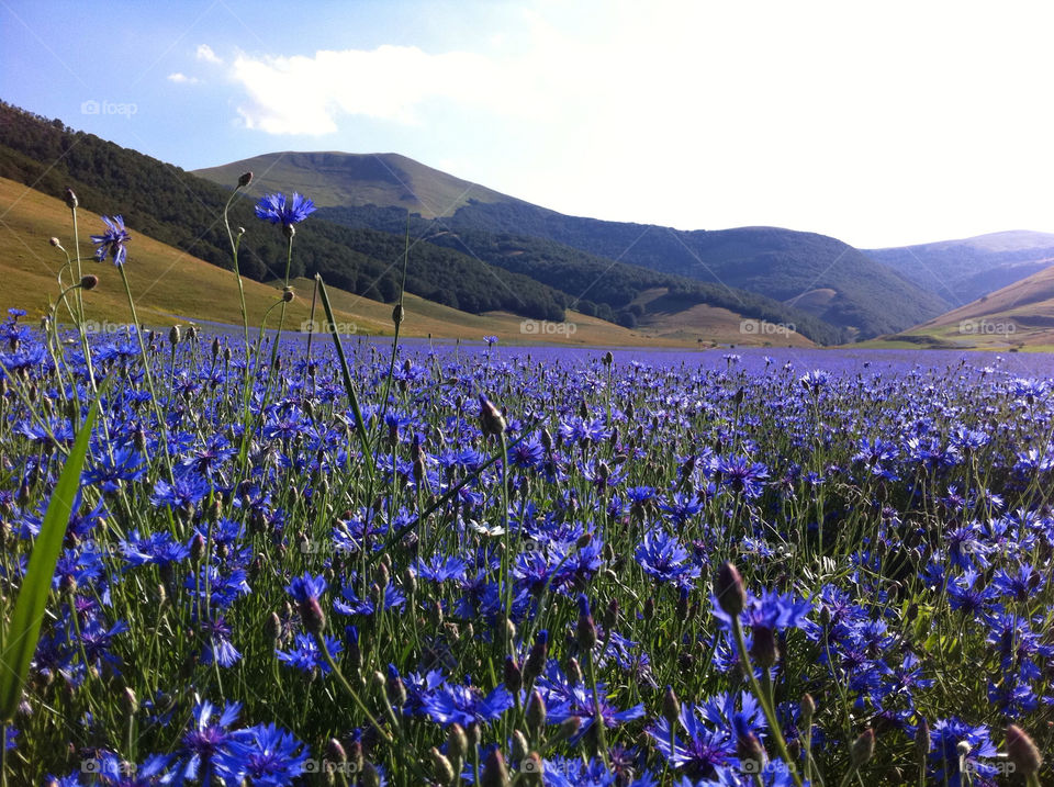 italy natura macerata by babie