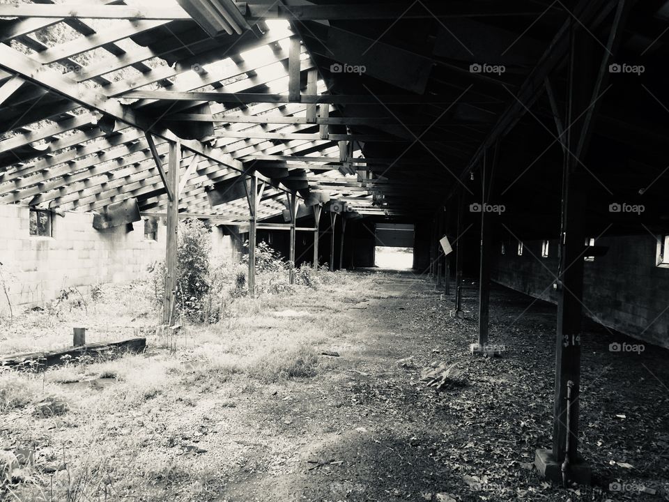 Abandoned Barn