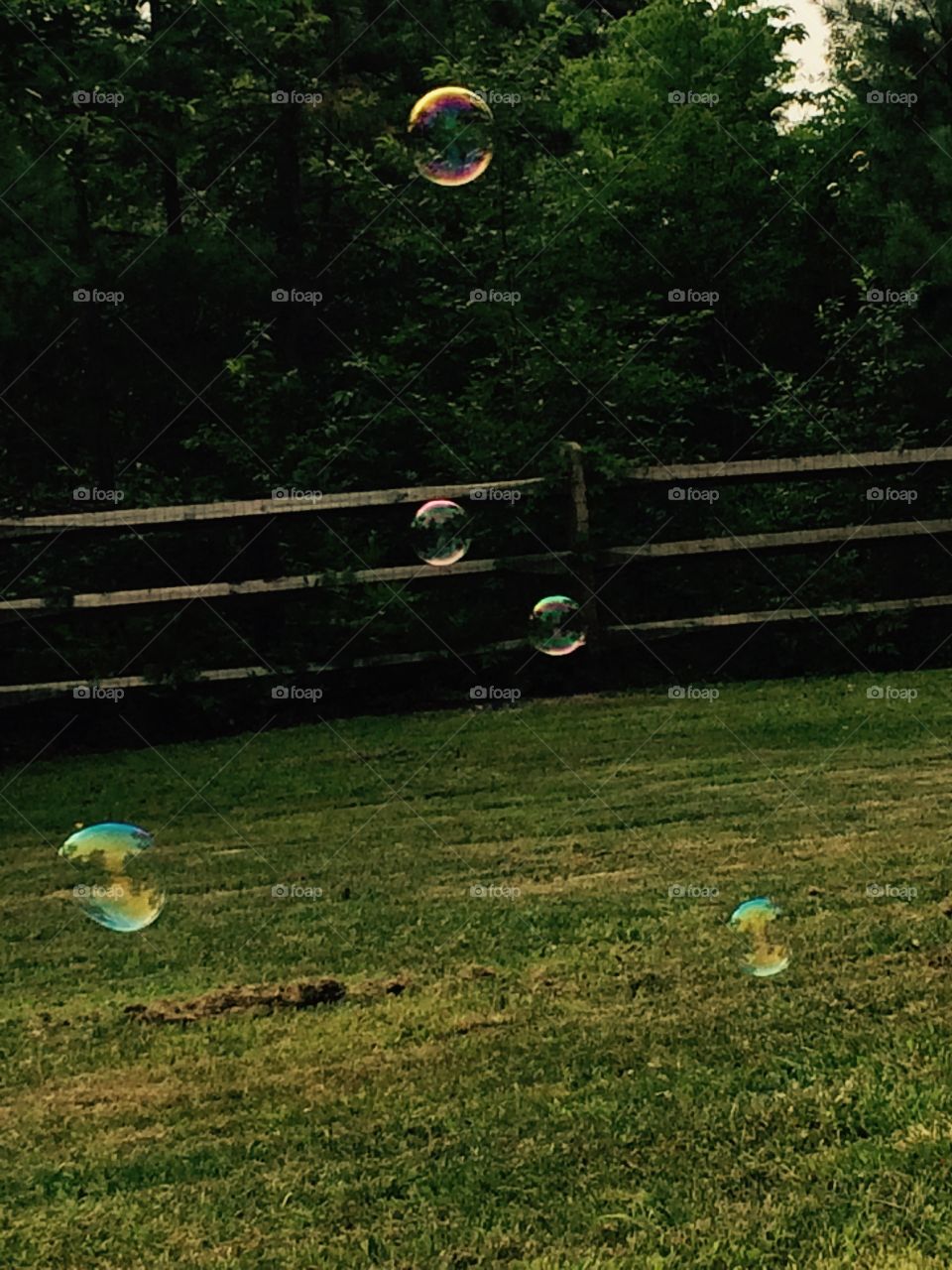 Bubbles in the summer . Fun day with friends. Bubbles were blown 