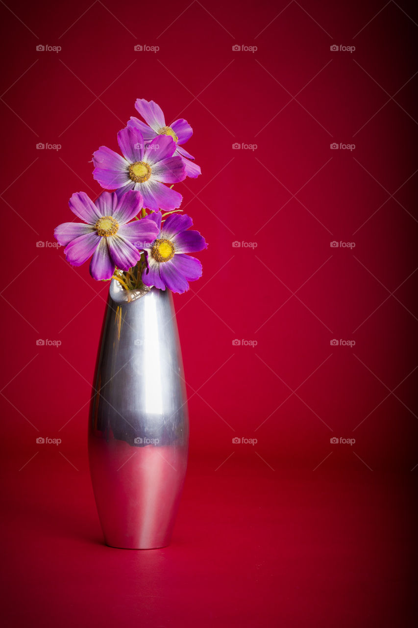 Silver Vase/Purple Flower