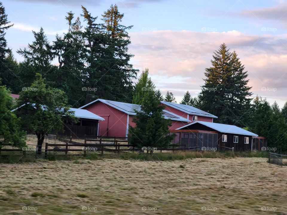 red farmhouse tucked amongst tall trees with blue sky and clouds of an evening sunset in the Oregon countryside