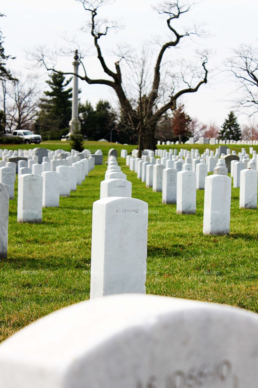 Arlington cemetery 