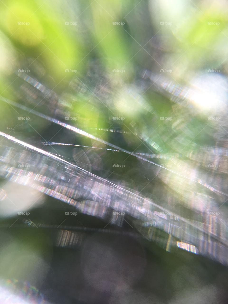 Spiderweb strands