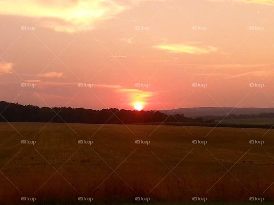 Capturing beauty as the sun sinks down below the trees