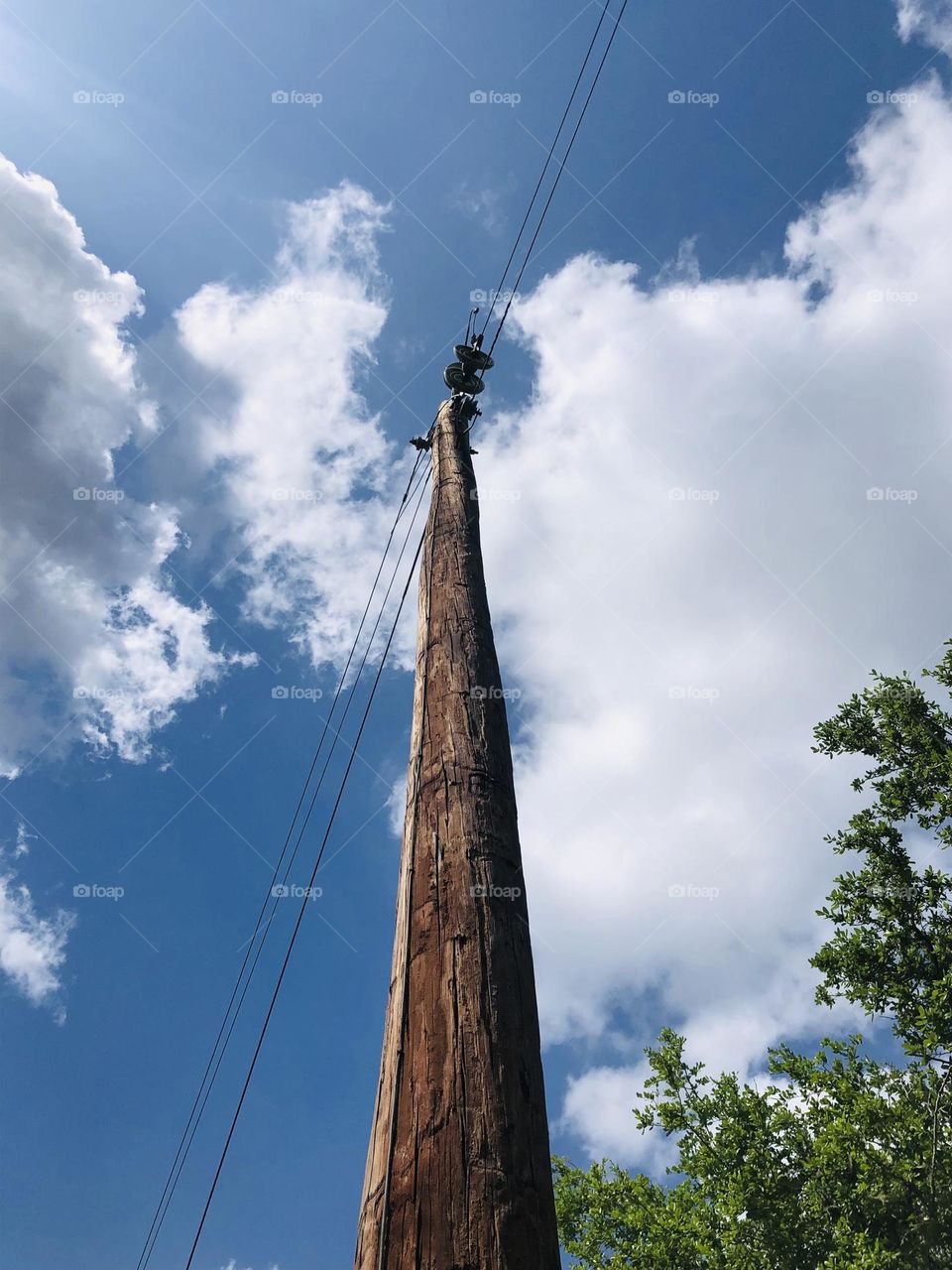 My only contact to the outside world! The one utility pole on the ranch that connects me to you stood strong on a beautiful day!