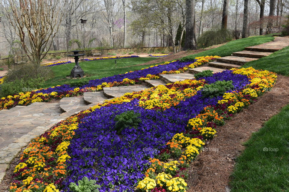 Flowers up a walkway 