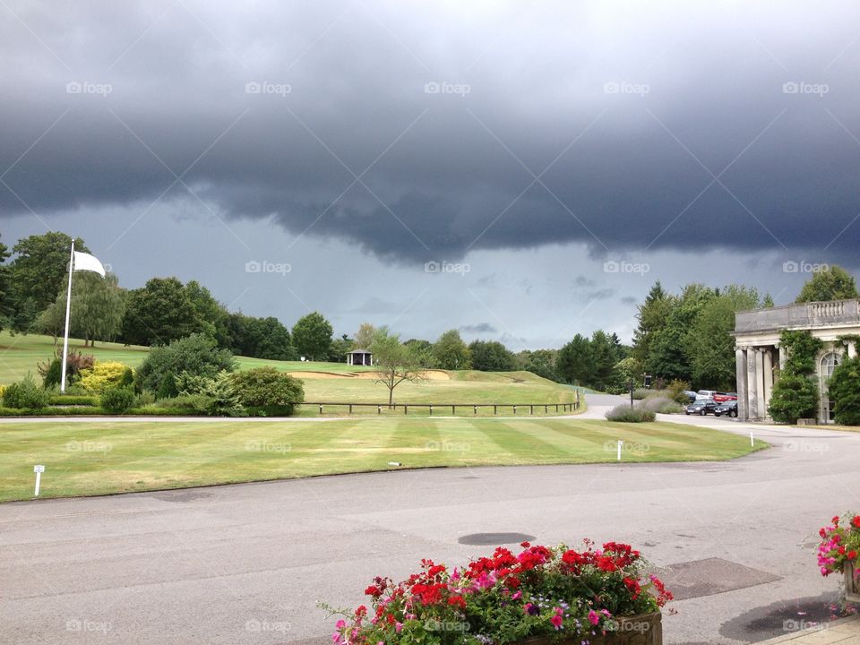 Best cloud and flower view 