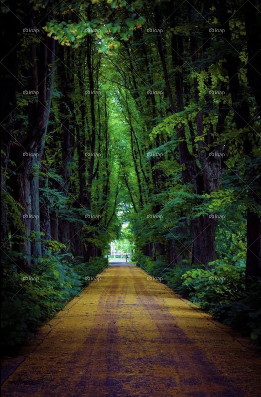 Take a walk and smell the wild air. 