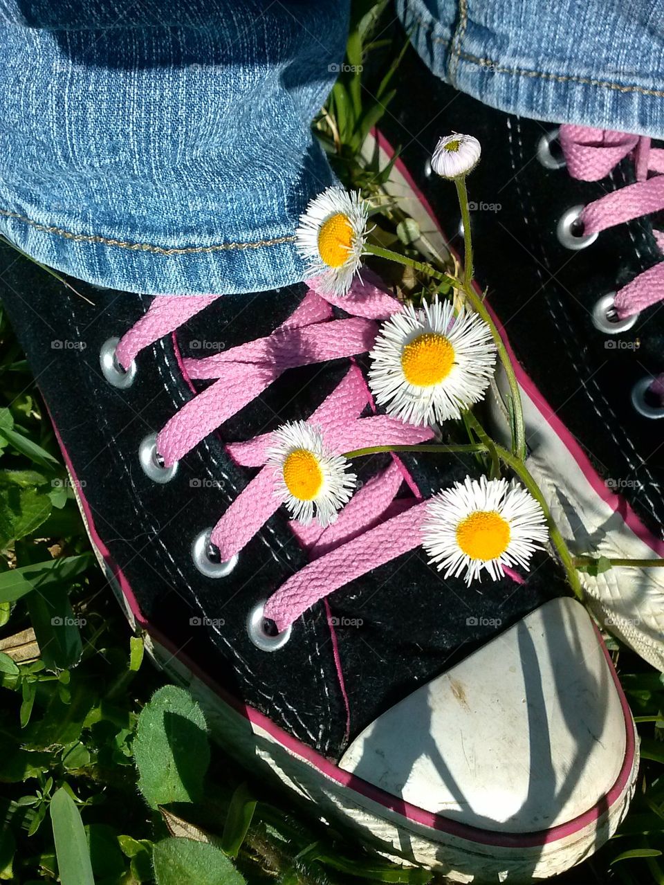 weeds of converse
