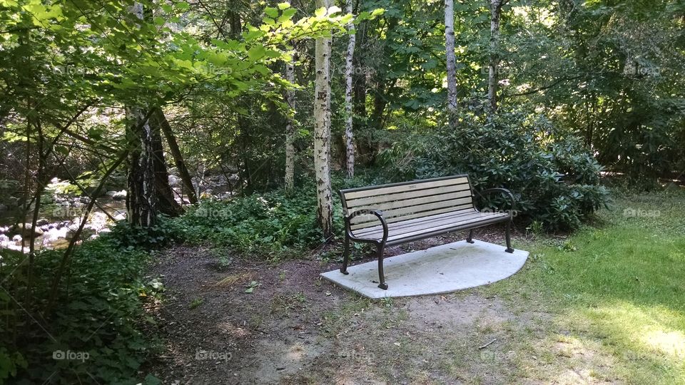 Lithia park. Lithia park in Ashland, Oregon.