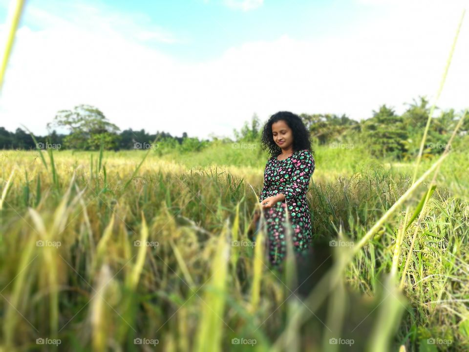 Observe the beauty of paddy feild