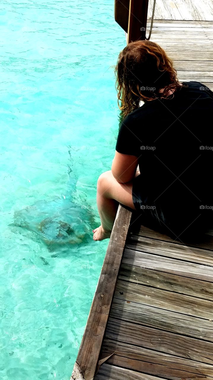 A large winged skate swims in a shallow blue lagoon under the dangling leg of a woman in shorts who watches it pass. 
