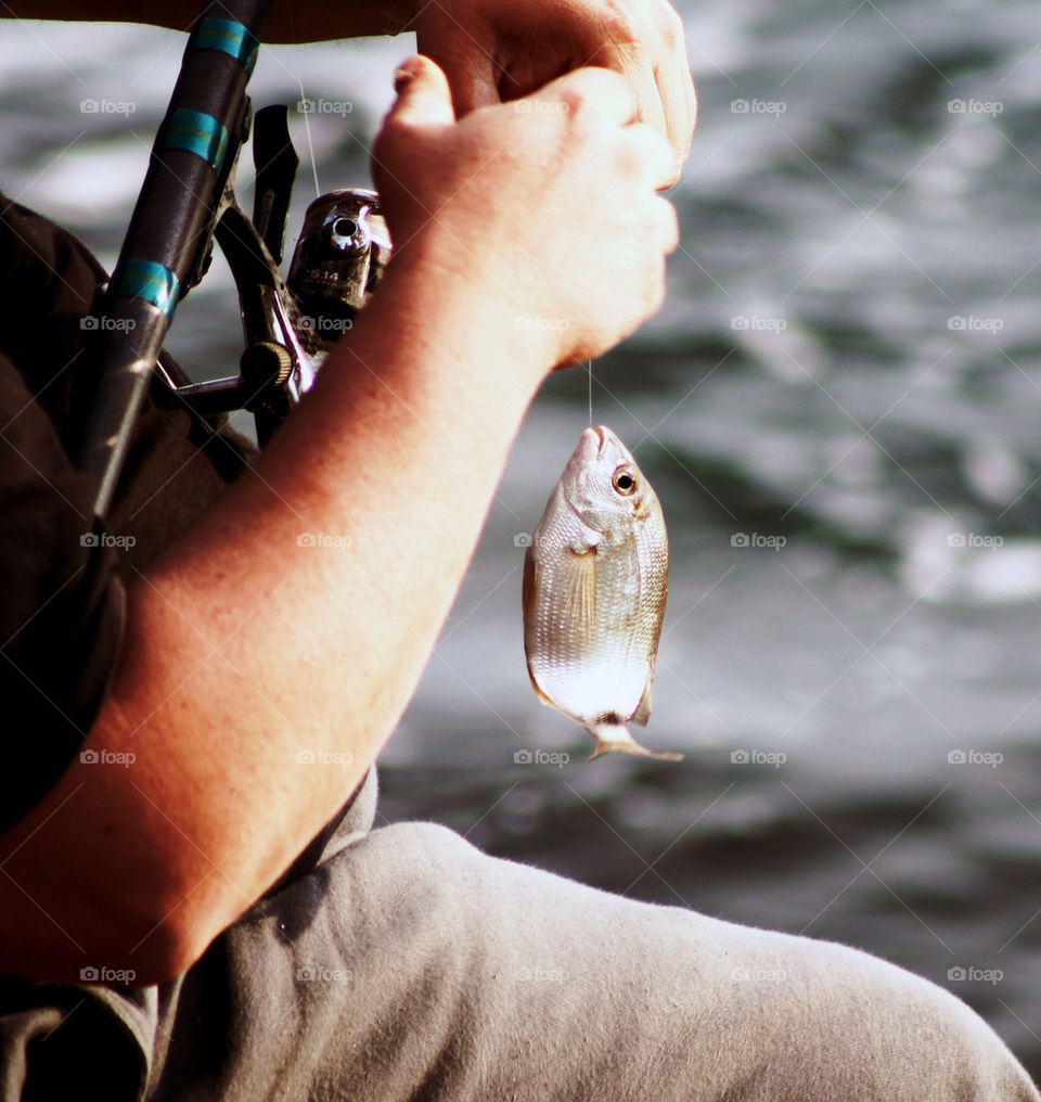 hands fish sea fisherman by adrianocastelli
