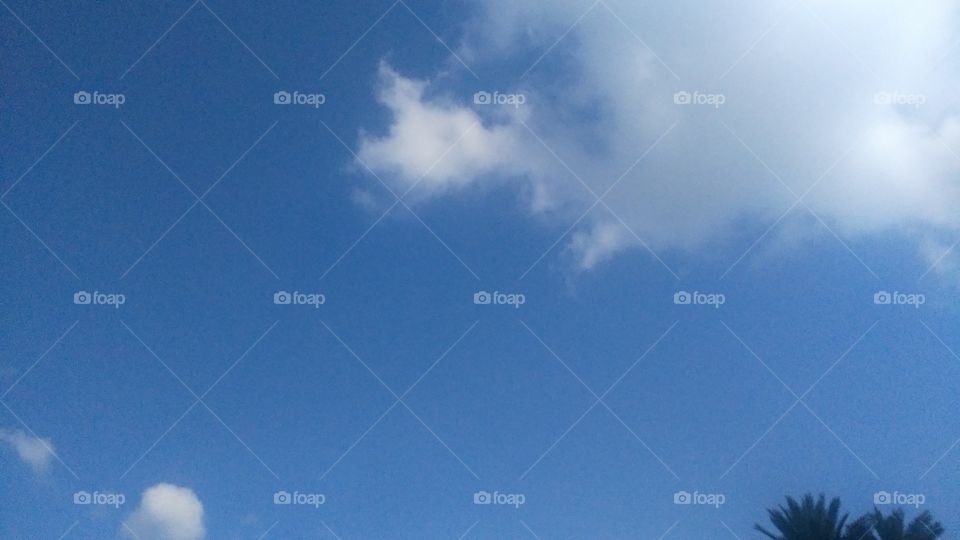 a beautiful sunny sky on the summer day.