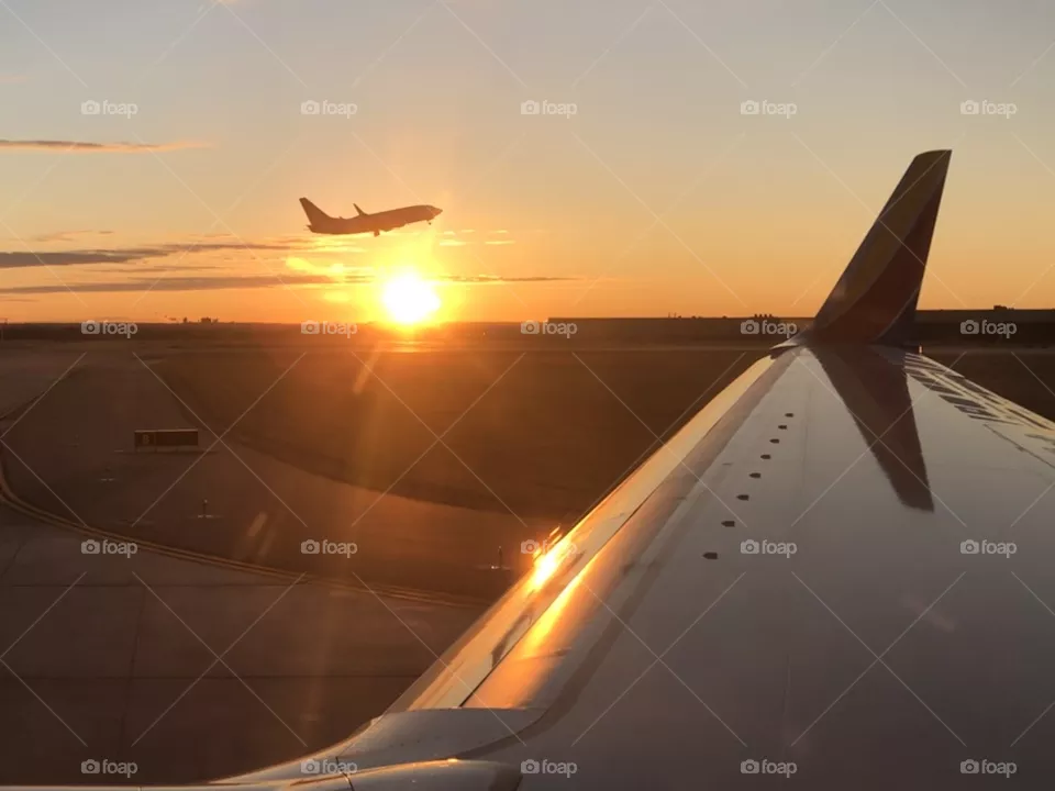 Flight 