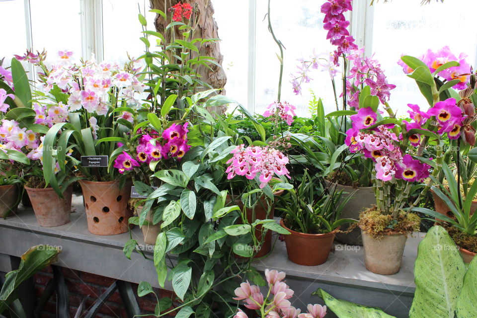 Potting done the Right way