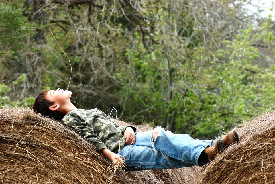 Relaxing on the Farm