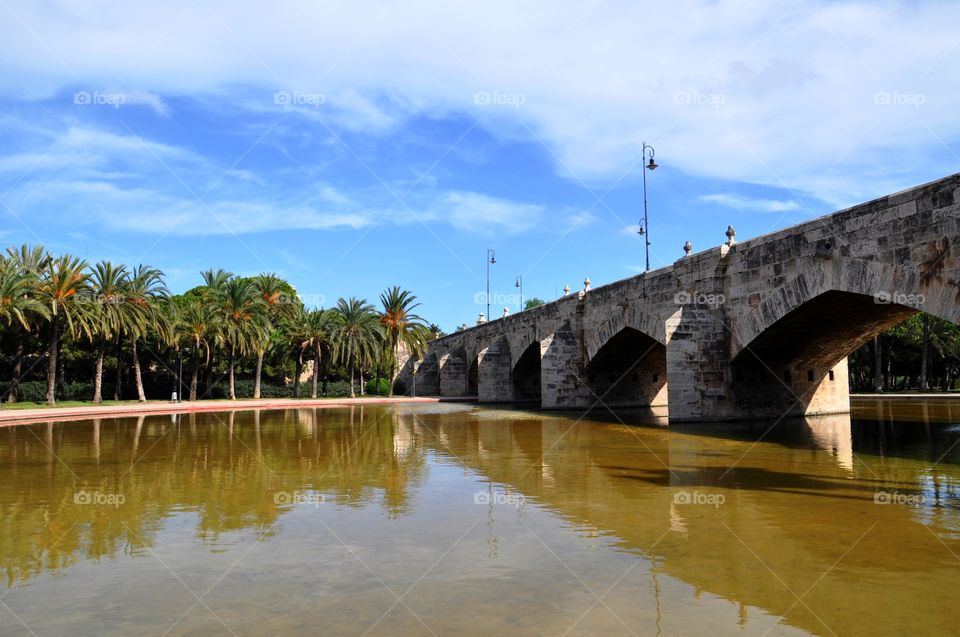 Bridge and the lake 