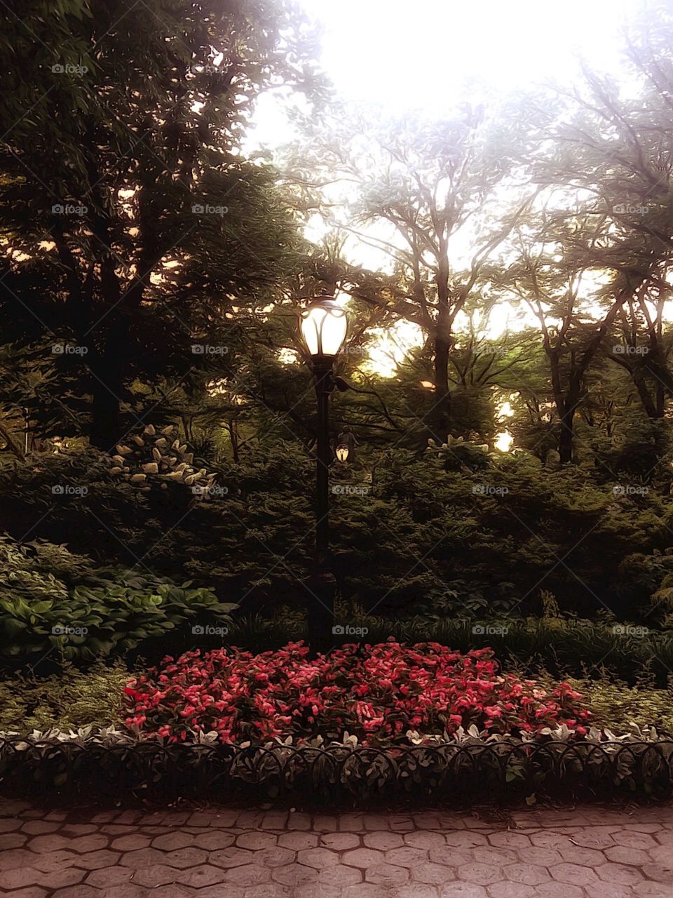 Olmsted Flower Bed- Central Park, New York City. Instagram,@PennyPeronto