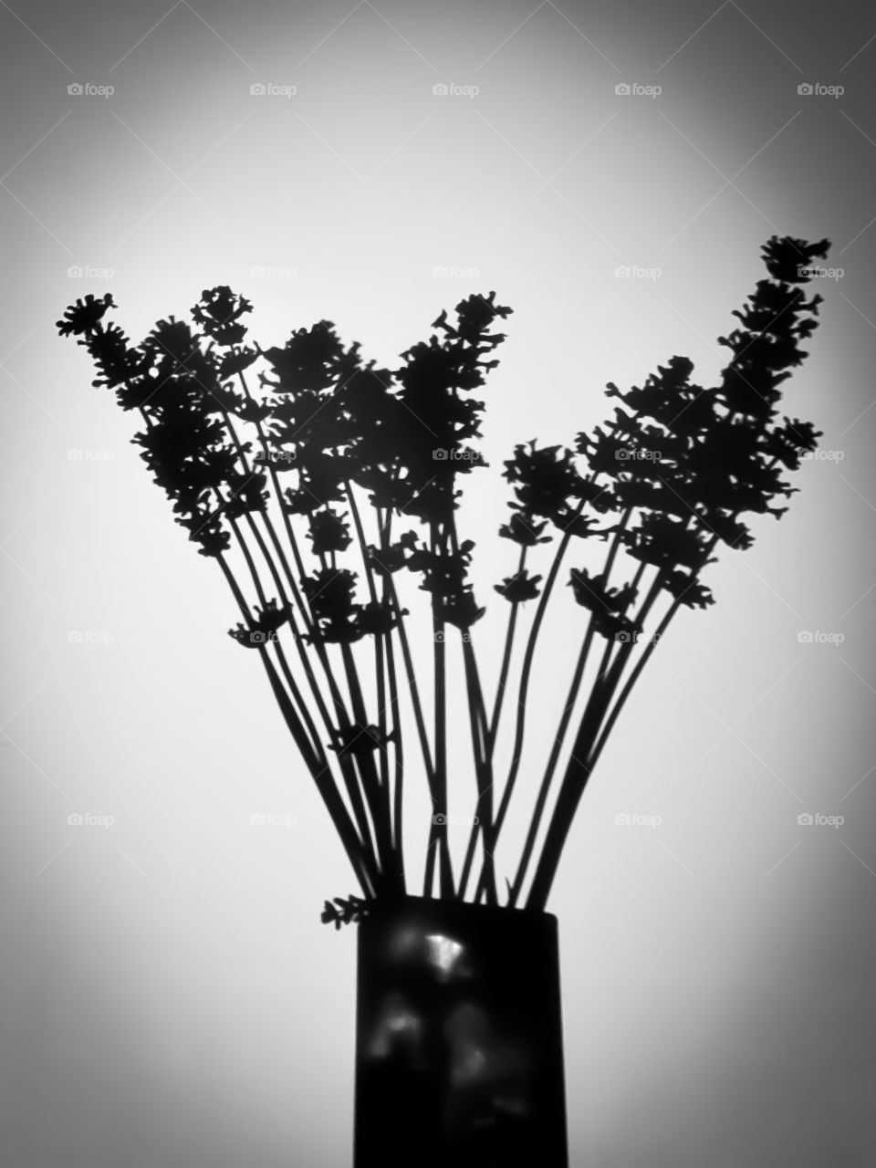 Shadow of a bouquet of lavender.