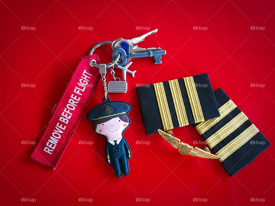 Pilot key chain