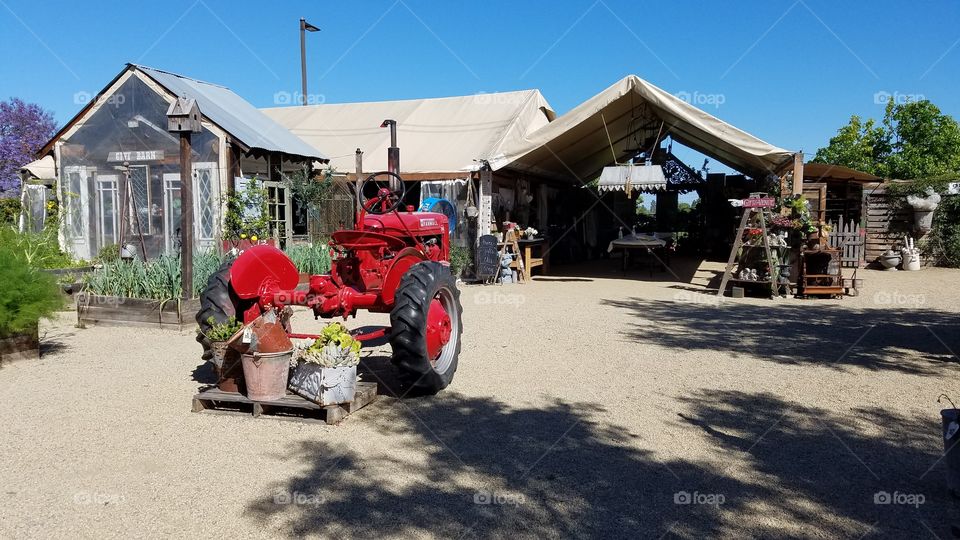 Little city farm