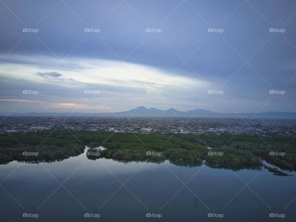 mangrove bali with cloudy sky