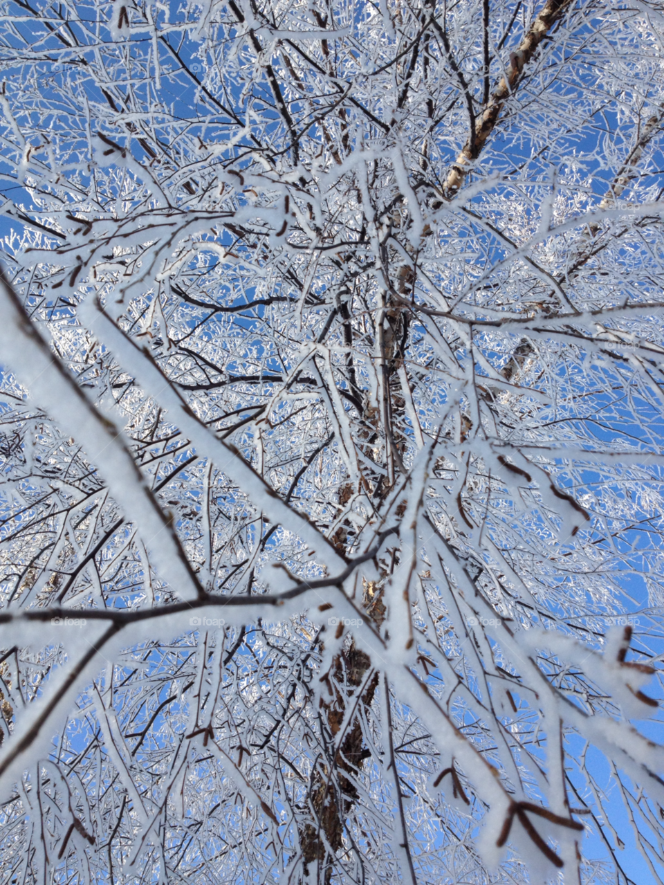 snow winter sky blue by kimcneil92