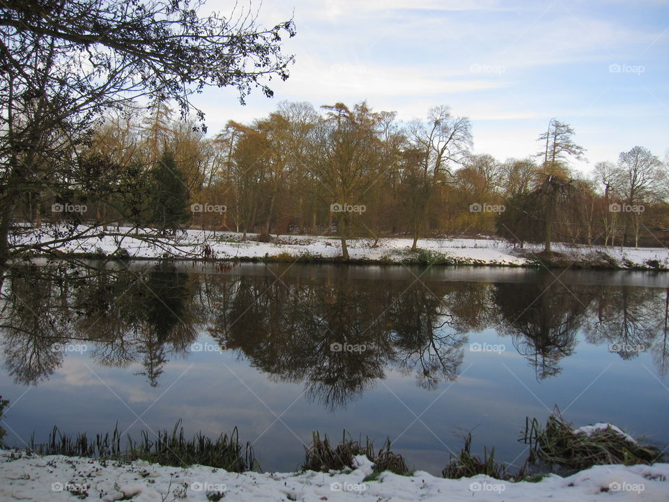 Landscape, Tree, Winter, Nature, Reflection