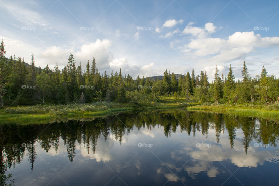 Scenics view of idyllic lake with green trees