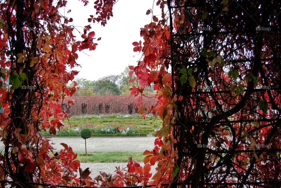 Autumn in Vienna