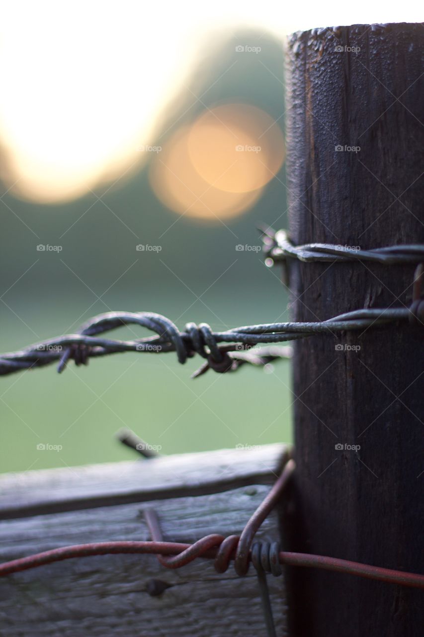 Barbed wire wrapped around a dew-covered fence post