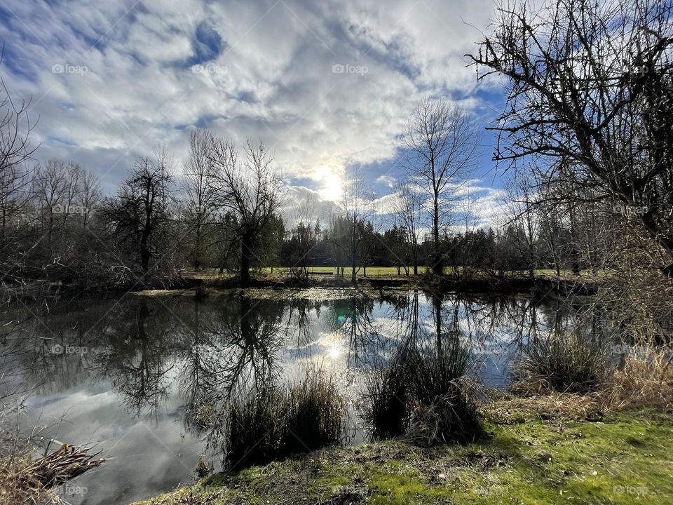 Reflection on a lake