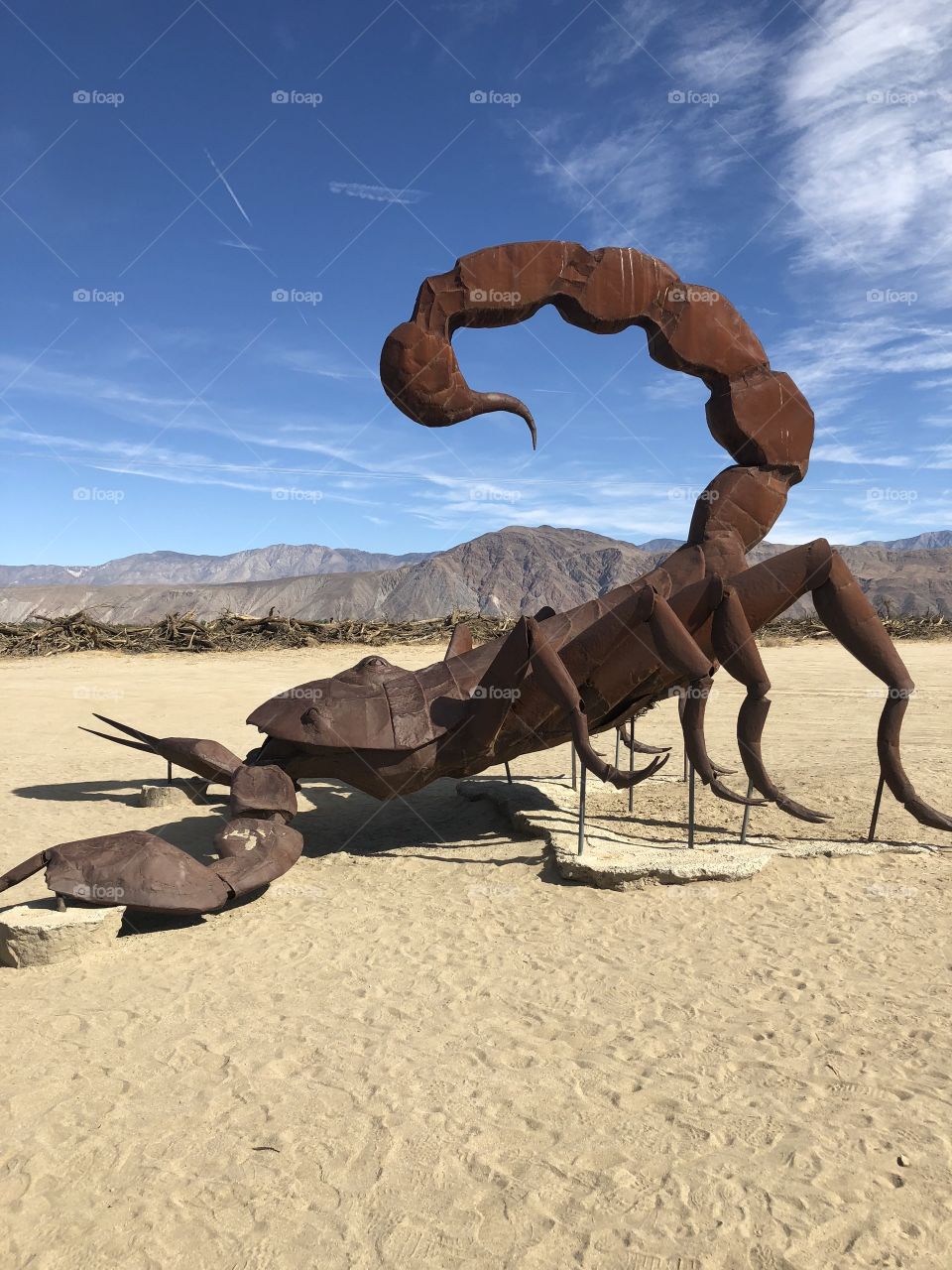 Scorpion Sculpture 