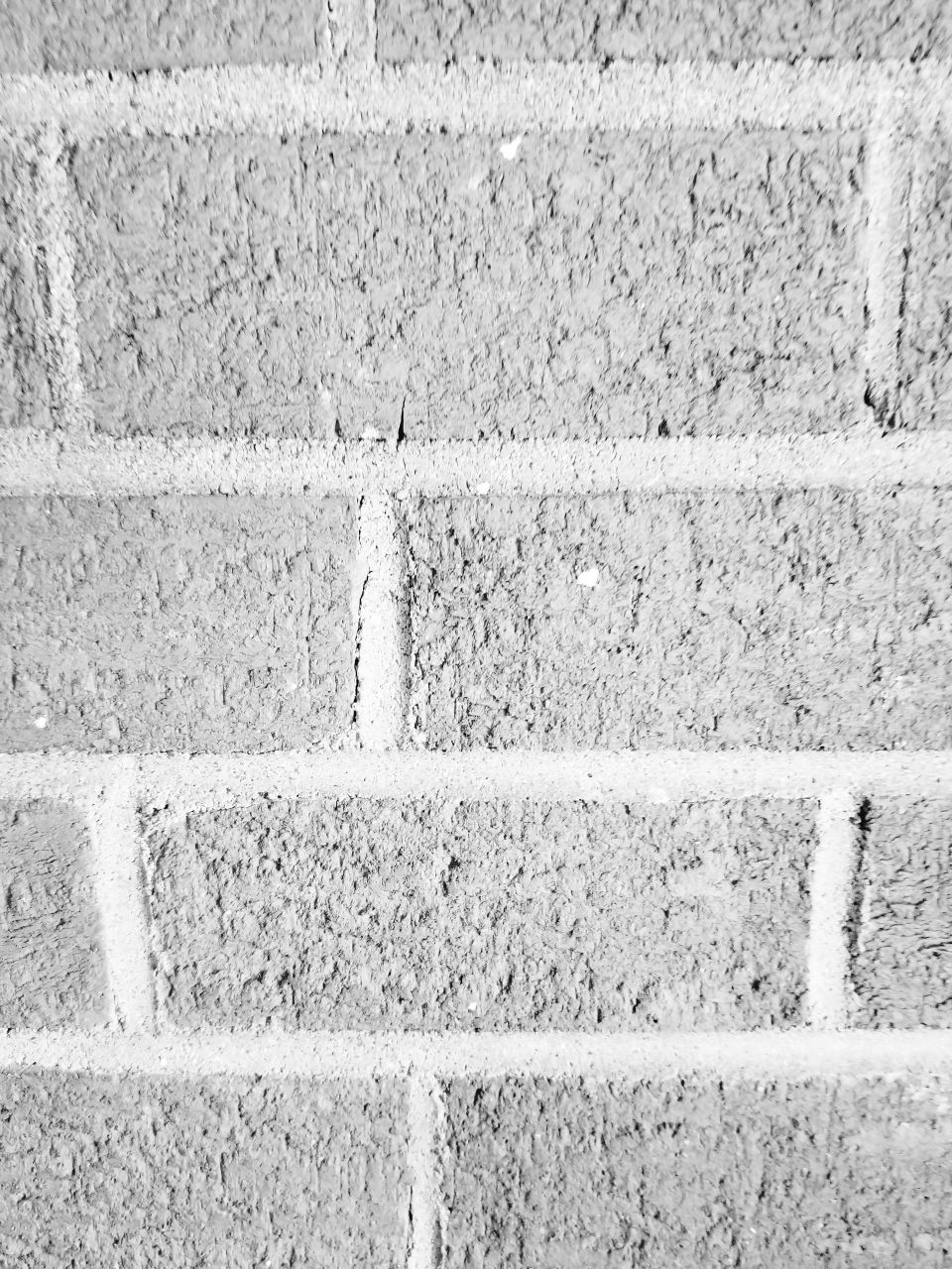 bricks in black and white