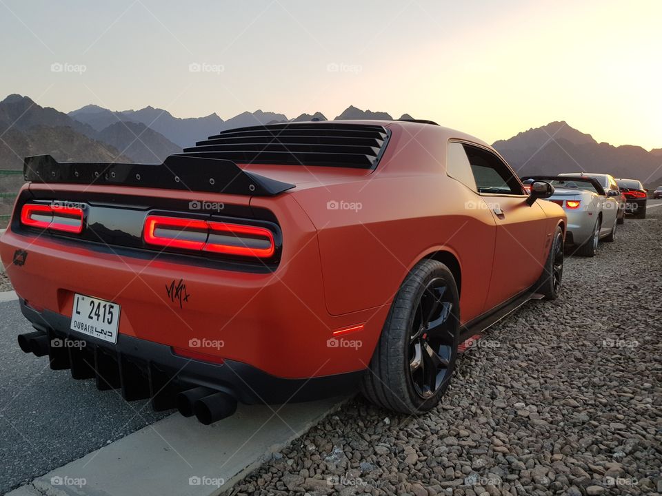 the sunset with muscle
