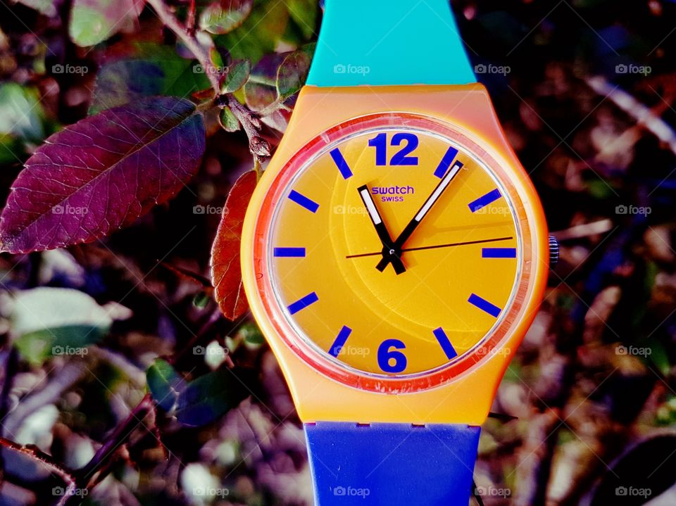 swatch