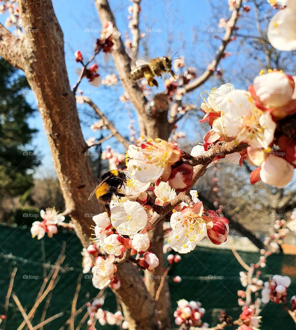 Spring is in the air