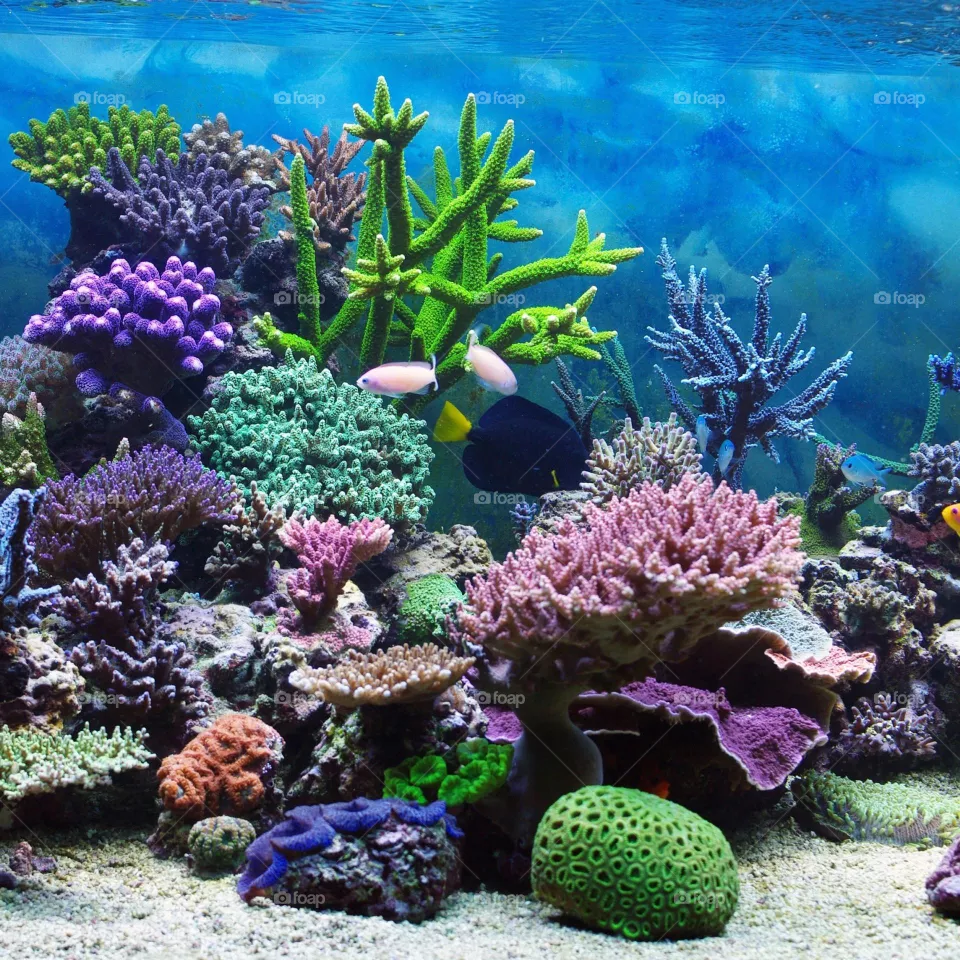 Under water 