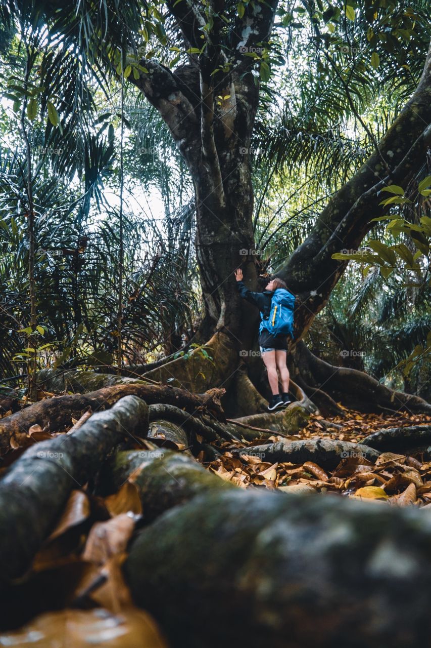 Conexão com a natureza brasileira